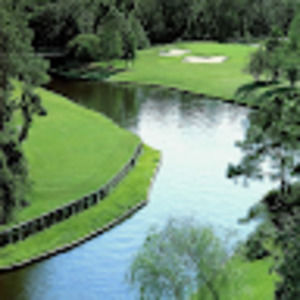 Meet your Posher, Elmer